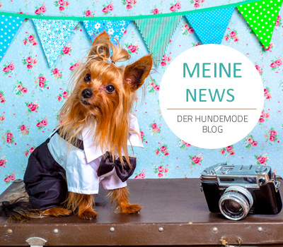 Hundemodeblog - Hundemantel-Mode.de