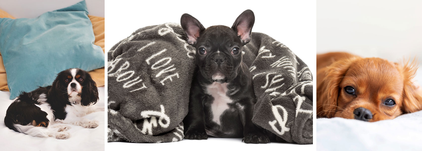 Hundekissen groß und klein auf Hundemantel-Mode.de