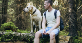 Hundebesitzer geht mit seinem Hund im Wald spazieren - Hundeleine auf Hundemantel-Mode.de